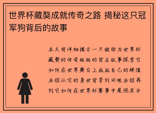 世界杯藏獒成就传奇之路 揭秘这只冠军狗背后的故事